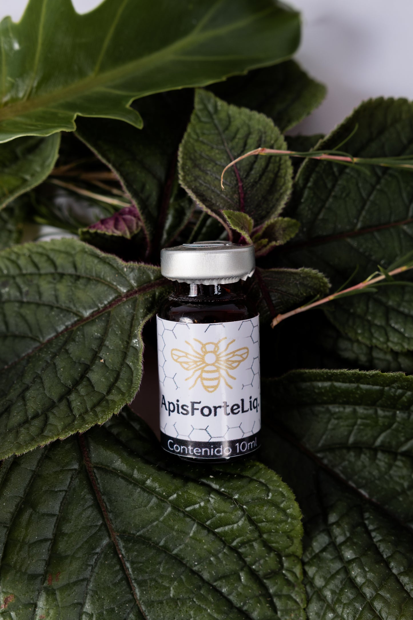 Apis Solución Estéril 10ml - Suplemento a Base de Apis de Abejas Para Rendimiento y Alivio Natural